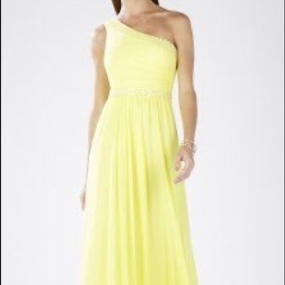 Stunning BCBG Daniele Formal Gown - Picture 6 of 6